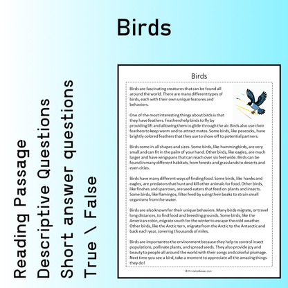 Birds | Reading Comprehension Passage Printable Worksheet