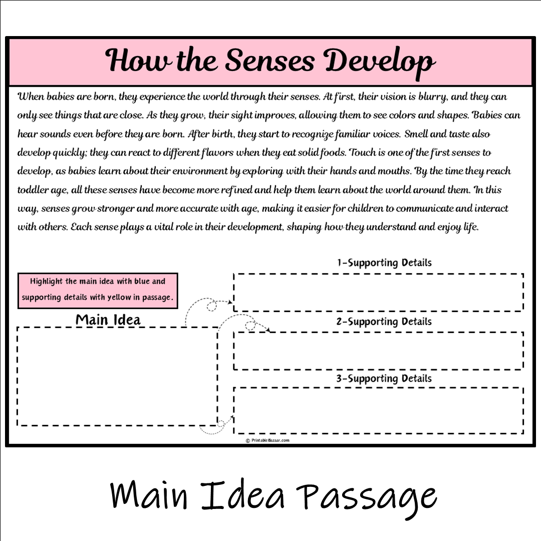 How the Senses Develop | Main Idea and Supporting Details Reading Passage and Questions