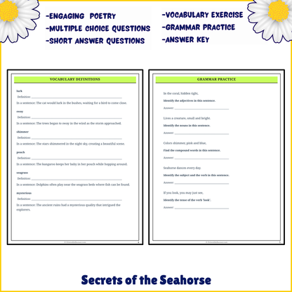 Secrets of the Seahorse | Poem Grammar Worksheet Printable Activity