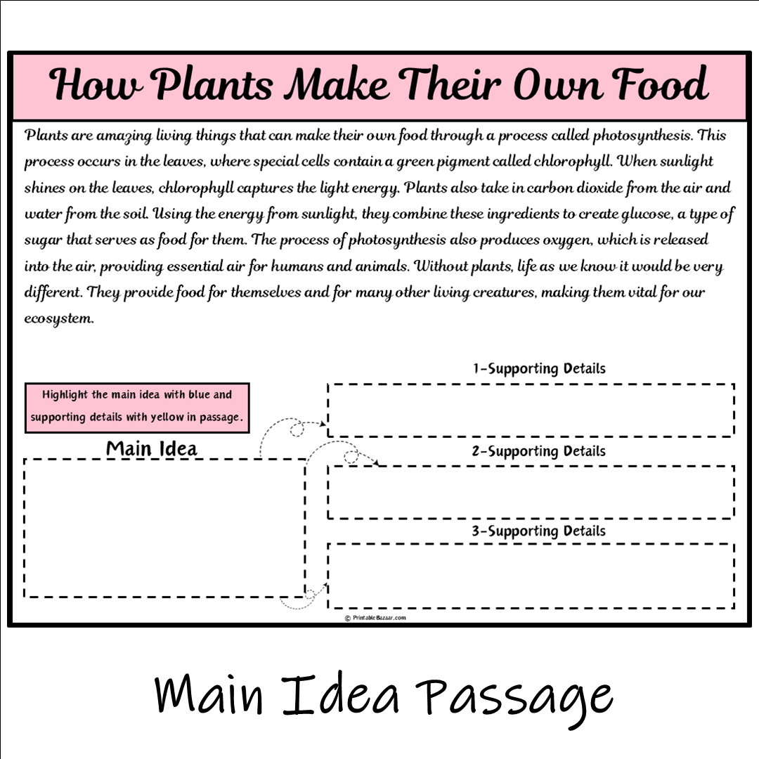 How Plants Make Their Own Food | Main Idea and Supporting Details Reading Passage and Questions