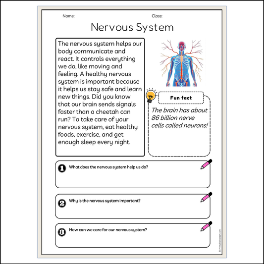 Nervous System | Reading Passage Comprehension Questions Writing Facts Worksheet