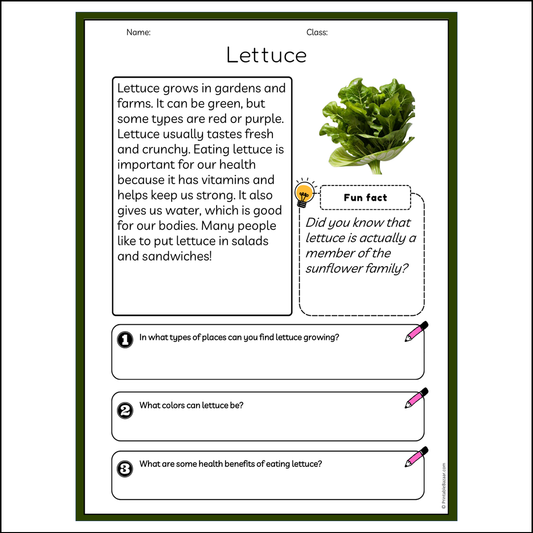 Lettuce | Reading Passage Comprehension Questions Writing Facts Worksheet