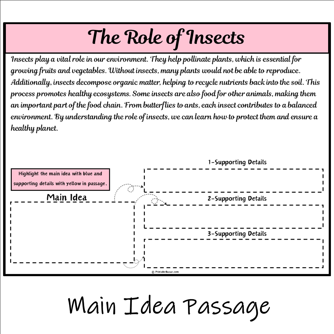 The Role of Insects | Main Idea and Supporting Details Reading Passage and Questions