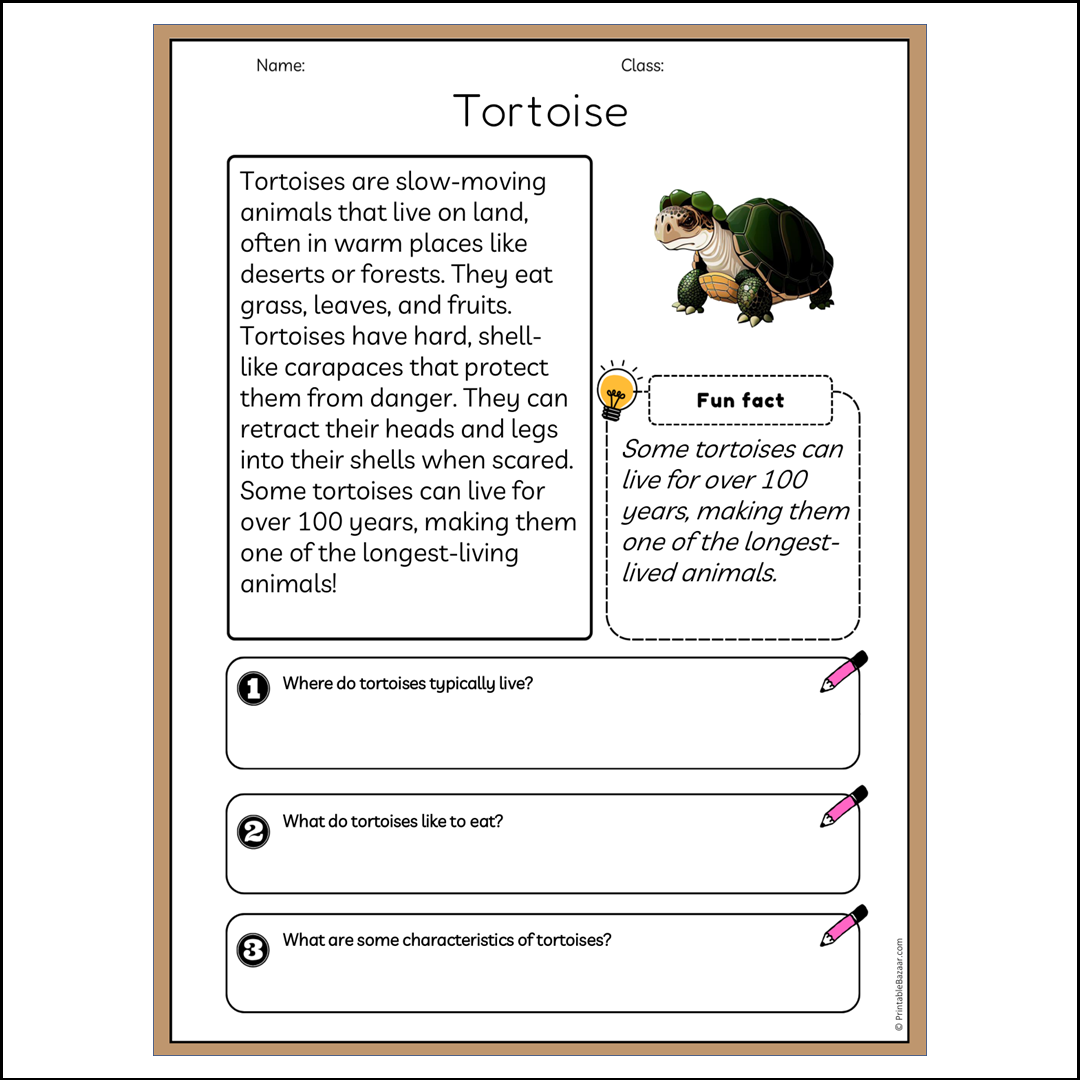 Tortoise | Reading Passage Comprehension Questions Writing Facts Worksheet