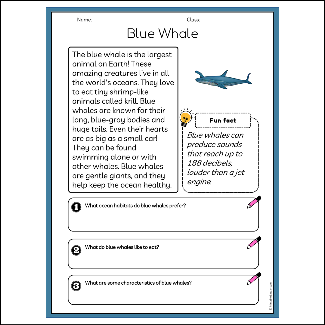 Blue Whale | Reading Passage Comprehension Questions Writing Facts Worksheet