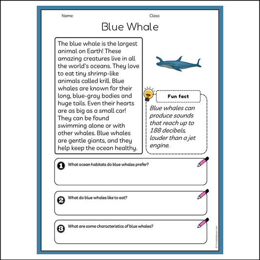 Blue Whale | Reading Passage Comprehension Questions Writing Facts Worksheet