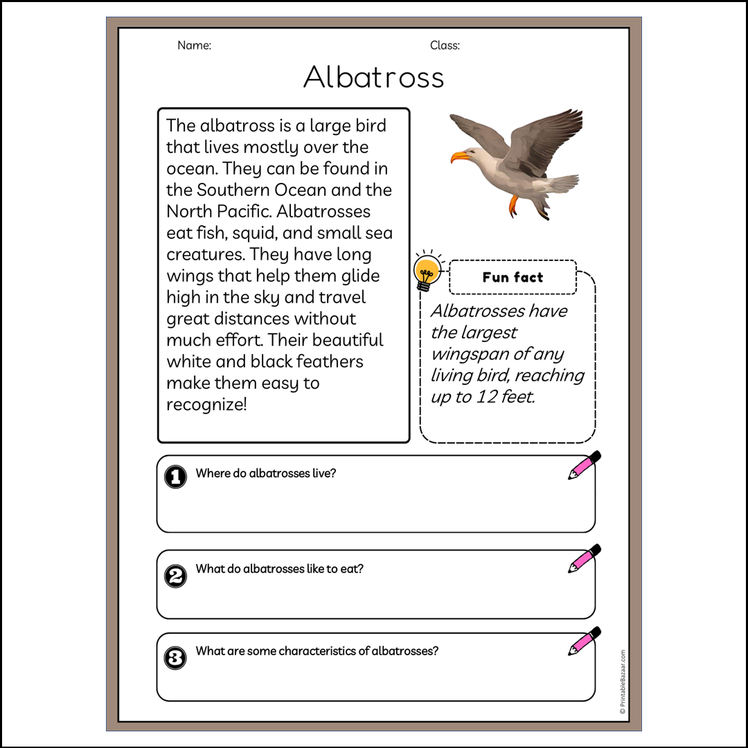 Albatross | Reading Passage Comprehension Questions Writing Facts Worksheet