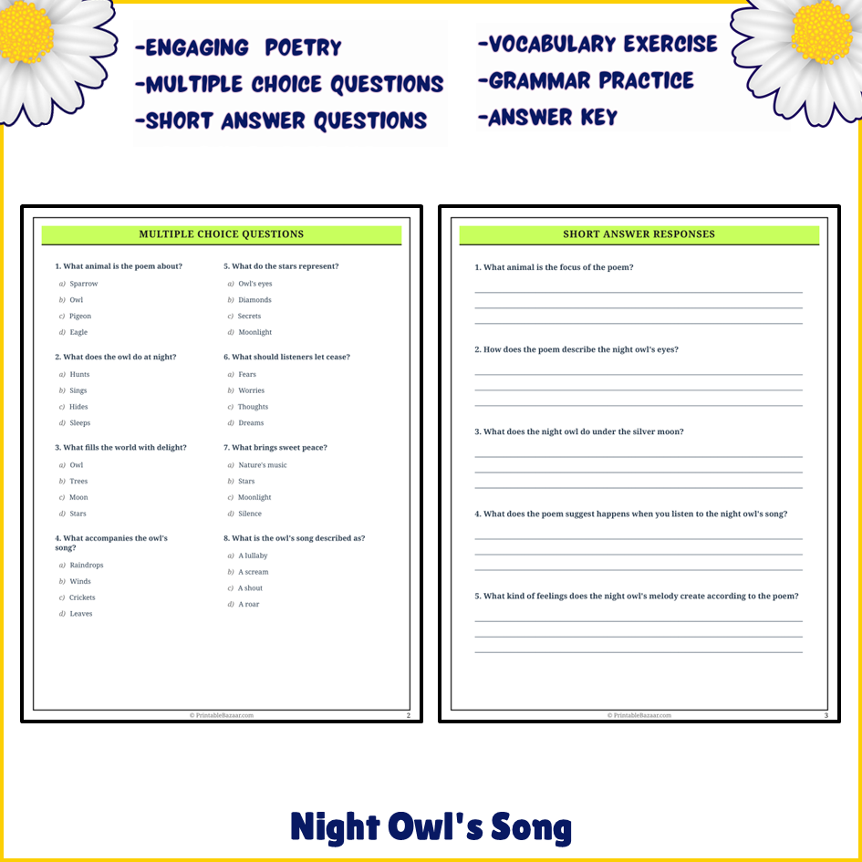 Night Owl's Song | Poem Grammar Worksheet Printable Activity