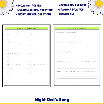 Night Owl's Song | Poem Grammar Worksheet Printable Activity