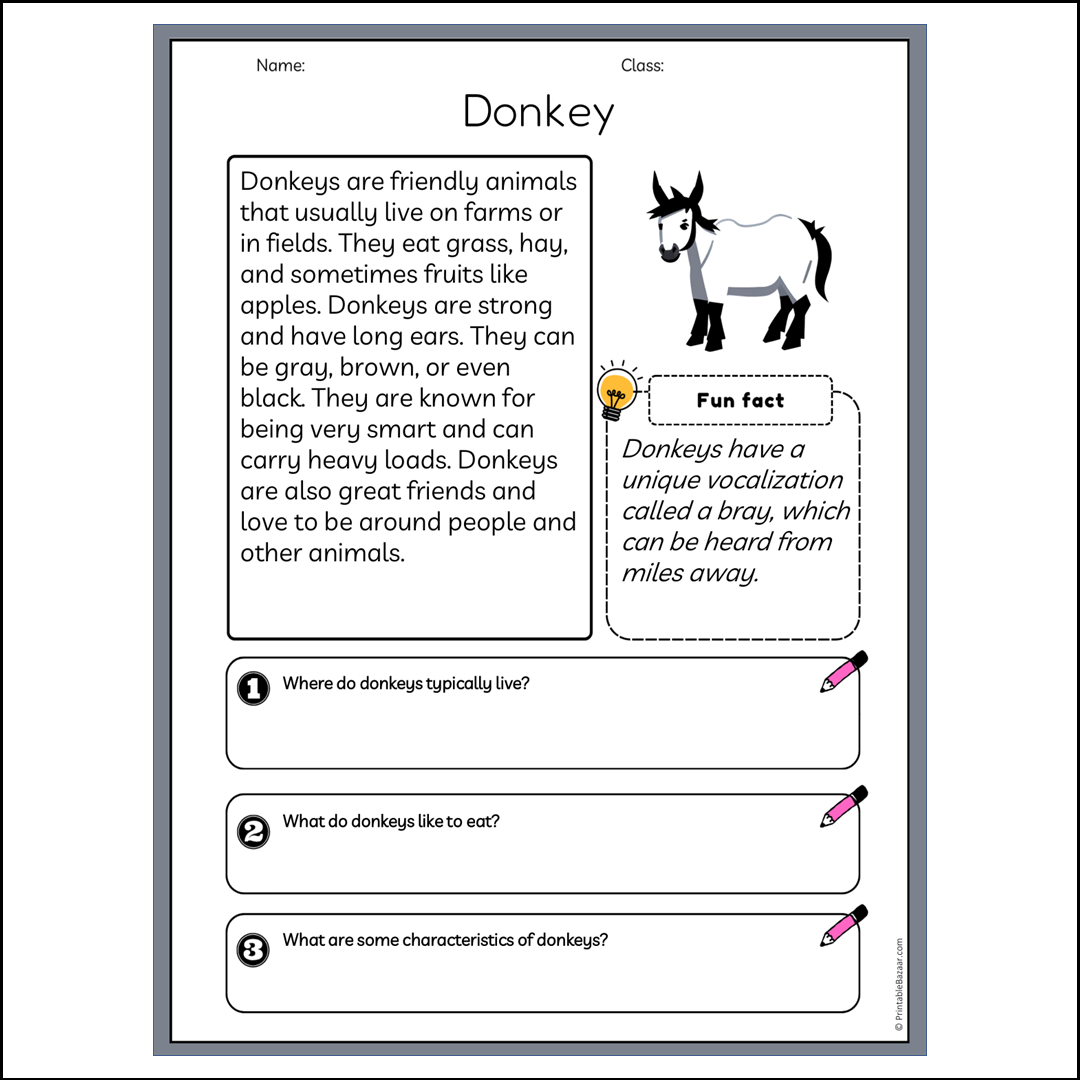 Donkey | Reading Passage Comprehension Questions Writing Facts Worksheet