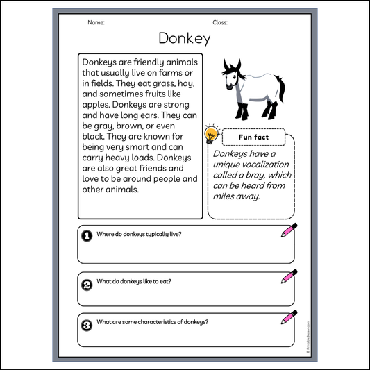 Donkey | Reading Passage Comprehension Questions Writing Facts Worksheet