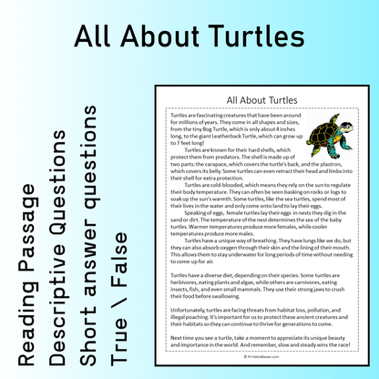 All About Turtles | Reading Comprehension Passage Printable Worksheet