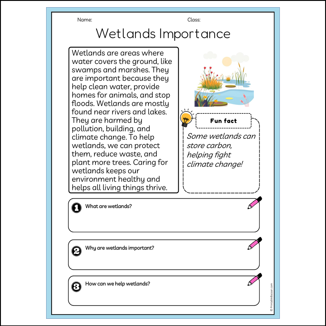 Wetlands Importance | Reading Passage Comprehension Questions Writing Facts Worksheet