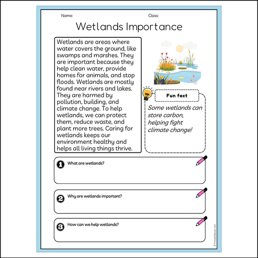 Wetlands Importance | Reading Passage Comprehension Questions Writing Facts Worksheet