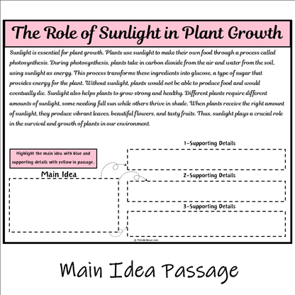 The Role of Sunlight in Plant Growth | Main Idea and Supporting Details Reading Passage and Questions