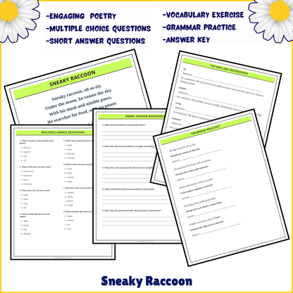 Sneaky Raccoon | Poem Grammar Worksheet Printable Activity