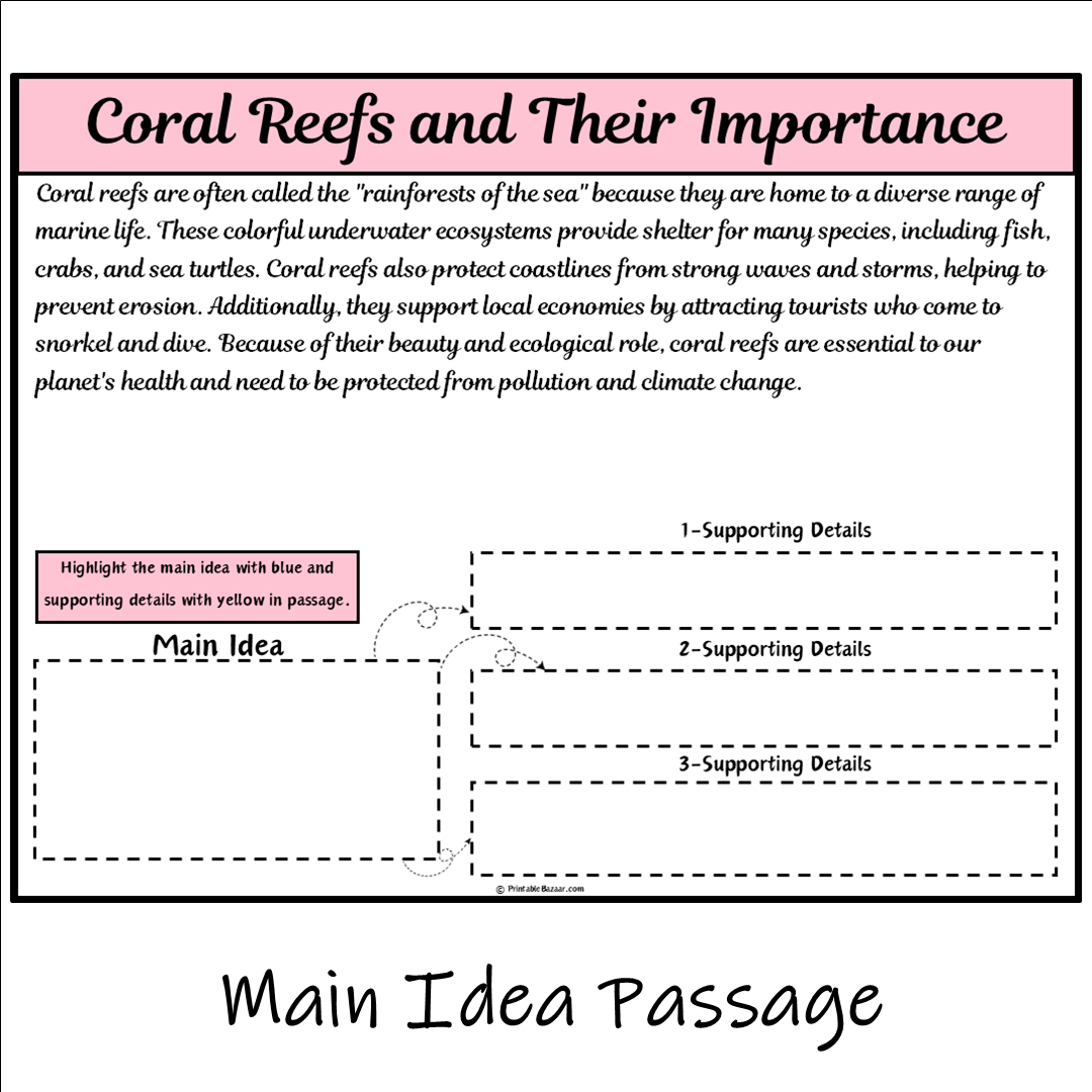 Coral Reefs and Their Importance | Main Idea and Supporting Details Reading Passage and Questions