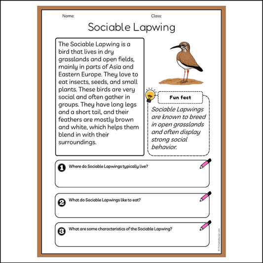 Sociable Lapwing | Reading Passage Comprehension Questions Writing Facts Worksheet