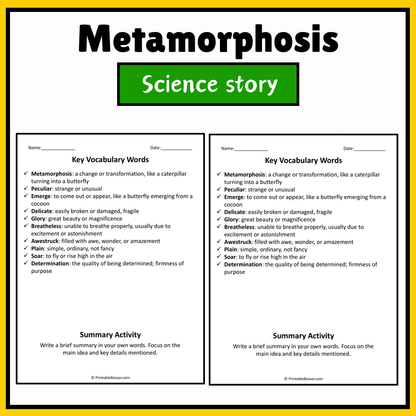 Metamorphosis | Science Story Reading Comprehension Activity