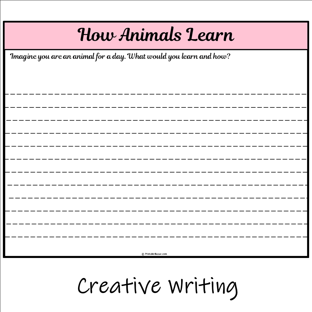 How Animals Learn | Main Idea and Supporting Details Reading Passage and Questions
