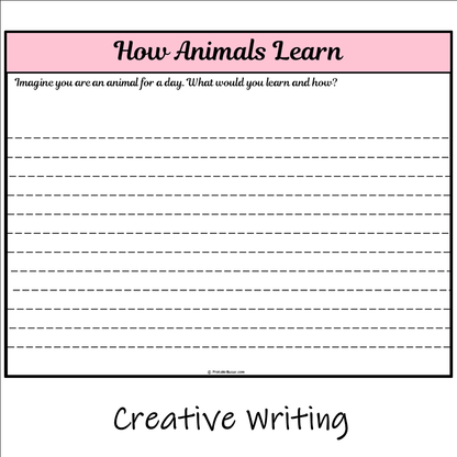 How Animals Learn | Main Idea and Supporting Details Reading Passage and Questions