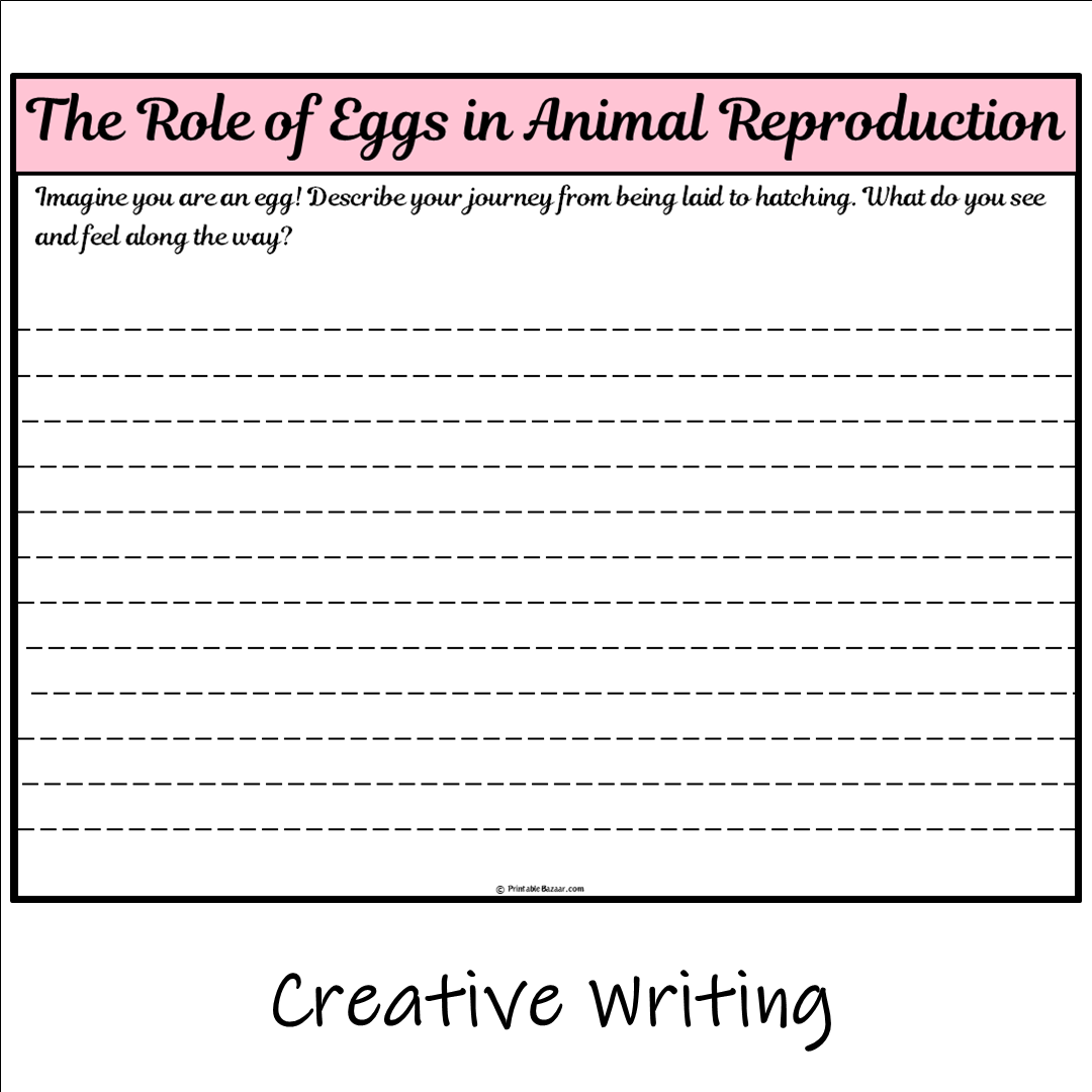 The Role of Eggs in Animal Reproduction | Main Idea and Supporting Details Reading Passage and Questions