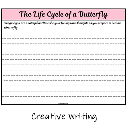 The Life Cycle of a Butterfly | Main Idea and Supporting Details Reading Passage and Questions