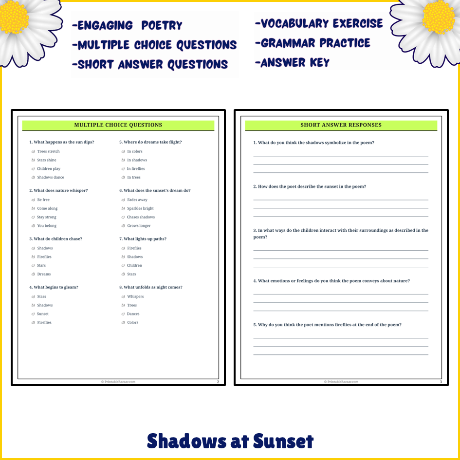 Shadows at Sunset | Poem Grammar Worksheet Printable Activity