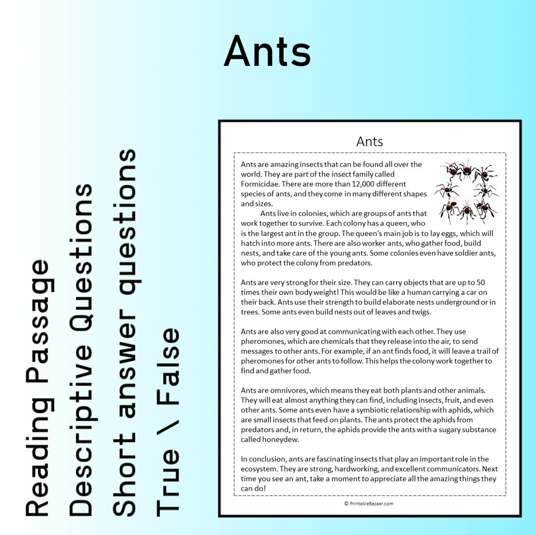 Ants | Reading Comprehension Passage Printable Worksheet