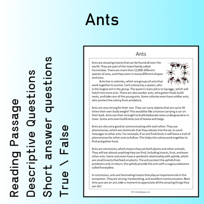 Ants | Reading Comprehension Passage Printable Worksheet