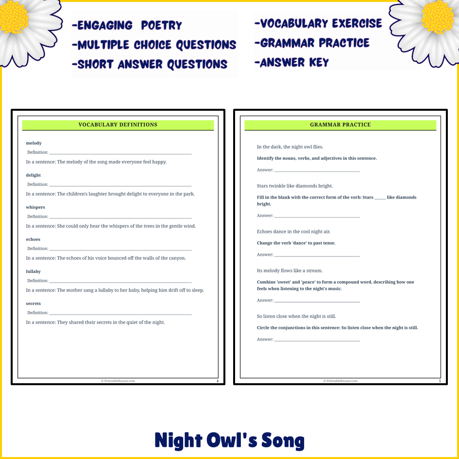 Night Owl's Song | Poem Grammar Worksheet Printable Activity