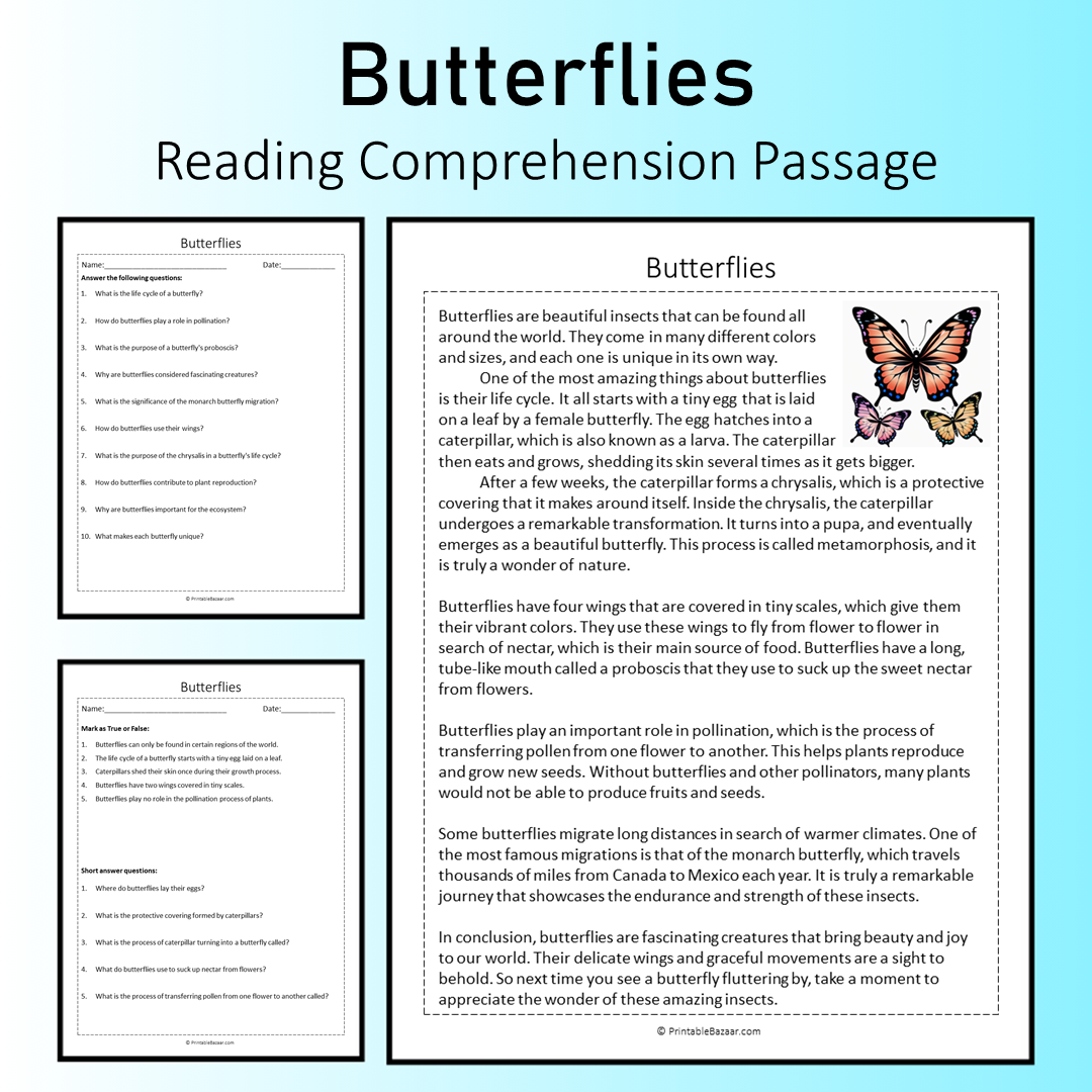 Butterflies | Reading Comprehension Passage Printable Worksheet