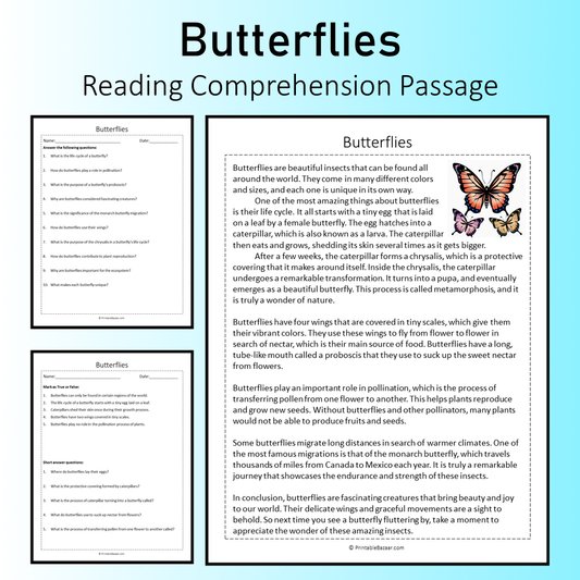 Butterflies | Reading Comprehension Passage Printable Worksheet