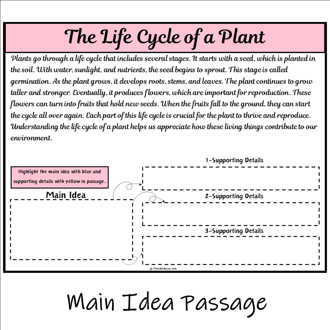 The Life Cycle of a Plant | Main Idea and Supporting Details Reading Passage and Questions