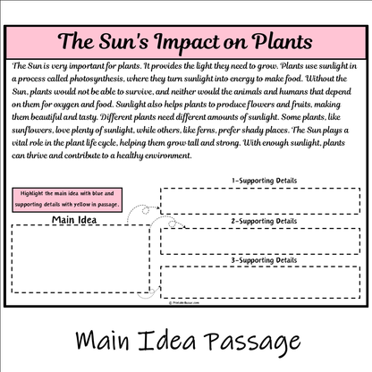 The Sun's Impact on Plants | Main Idea and Supporting Details Reading Passage and Questions