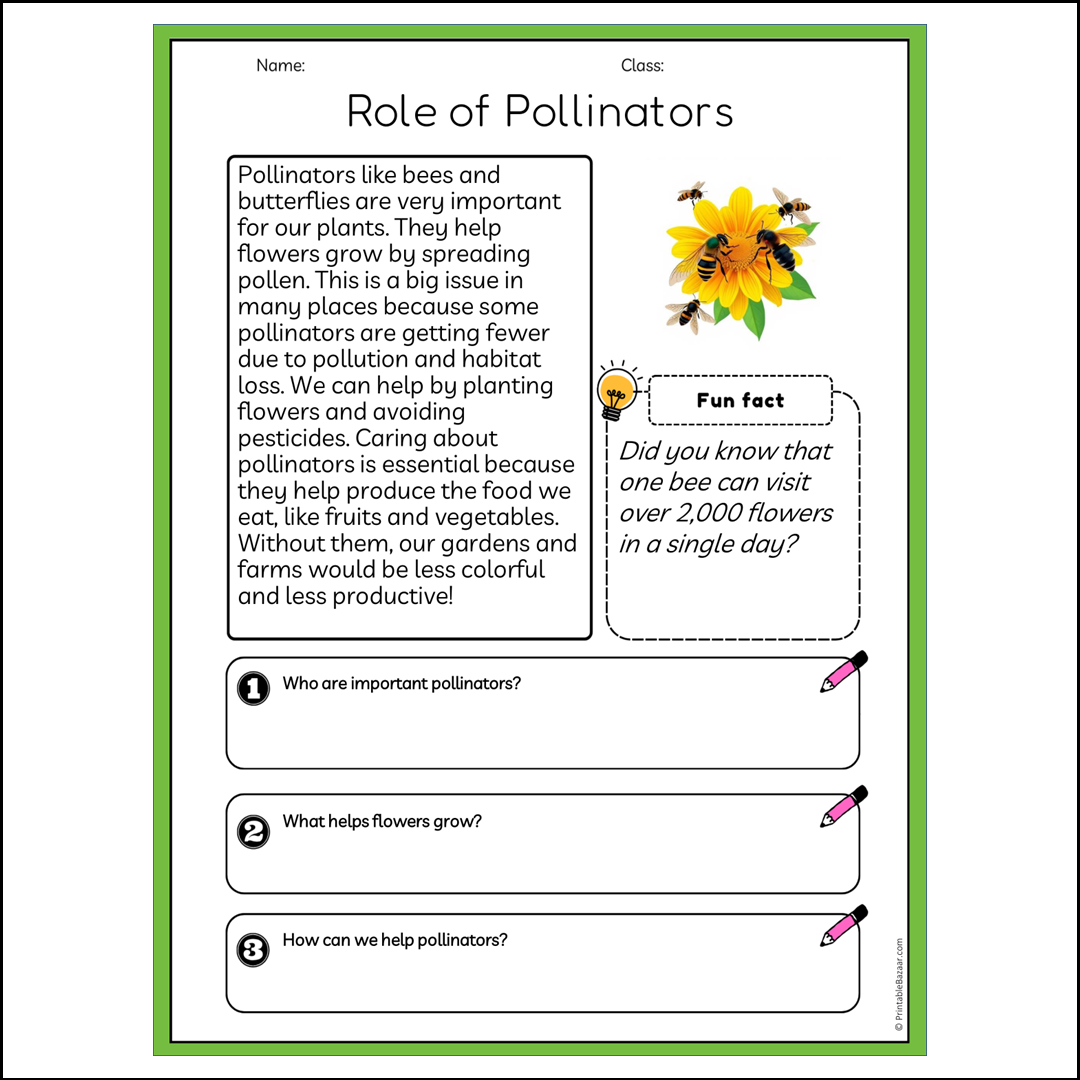 Role of Pollinators | Reading Passage Comprehension Questions Writing Facts Worksheet