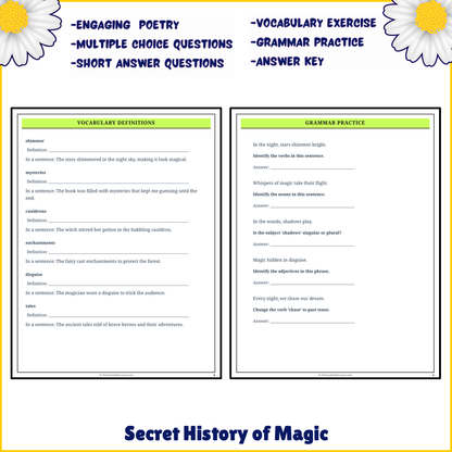 Secret History of Magic | Poem Grammar Worksheet Printable Activity