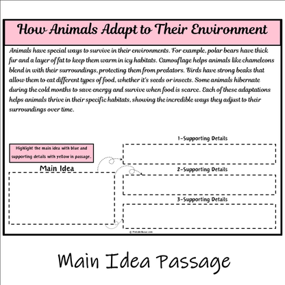 How Animals Adapt to Their Environment | Main Idea and Supporting Details Reading Passage and Questions