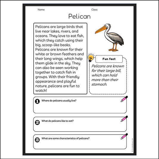 Pelican | Reading Passage Comprehension Questions Writing Facts Worksheet