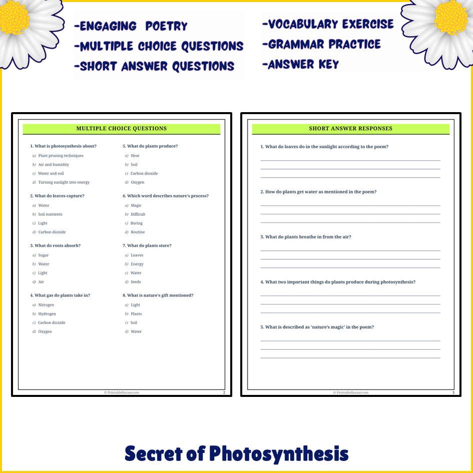 Secret of Photosynthesis | Poem Grammar Worksheet Printable Activity