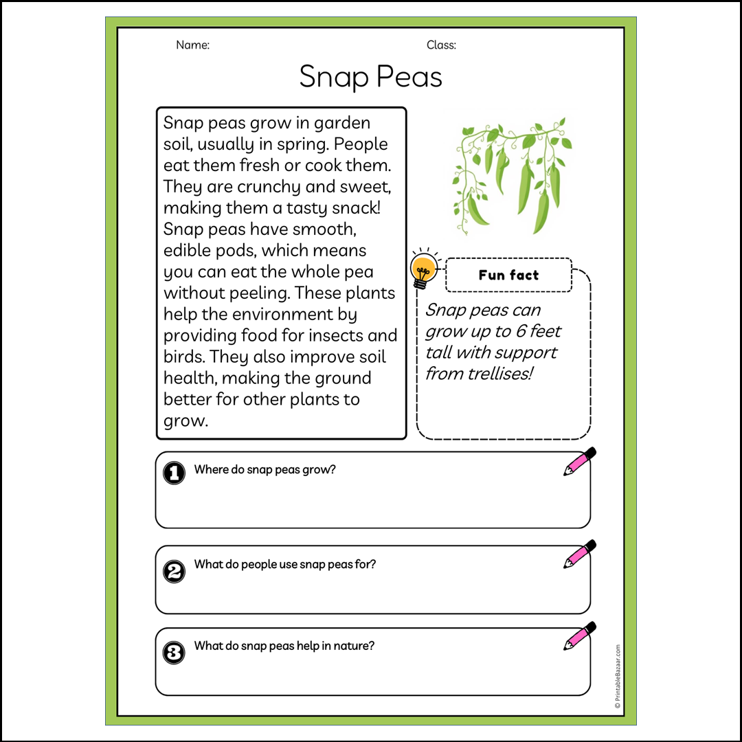 Snap Peas | Reading Passage Comprehension Questions Writing Facts Worksheet
