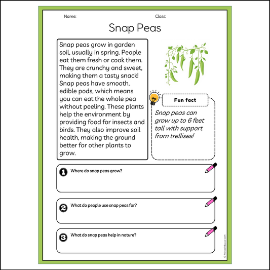 Snap Peas | Reading Passage Comprehension Questions Writing Facts Worksheet