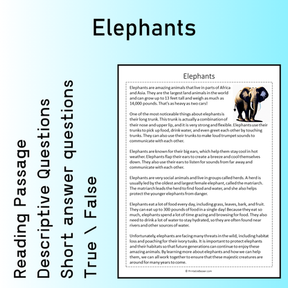 Elephants | Reading Comprehension Passage Printable Worksheet