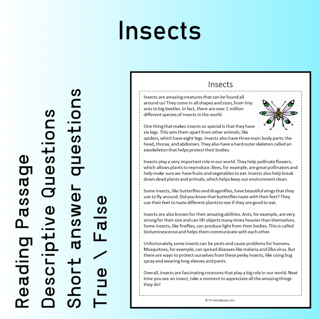Insects | Reading Comprehension Passage Printable Worksheet