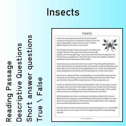 Insects | Reading Comprehension Passage Printable Worksheet