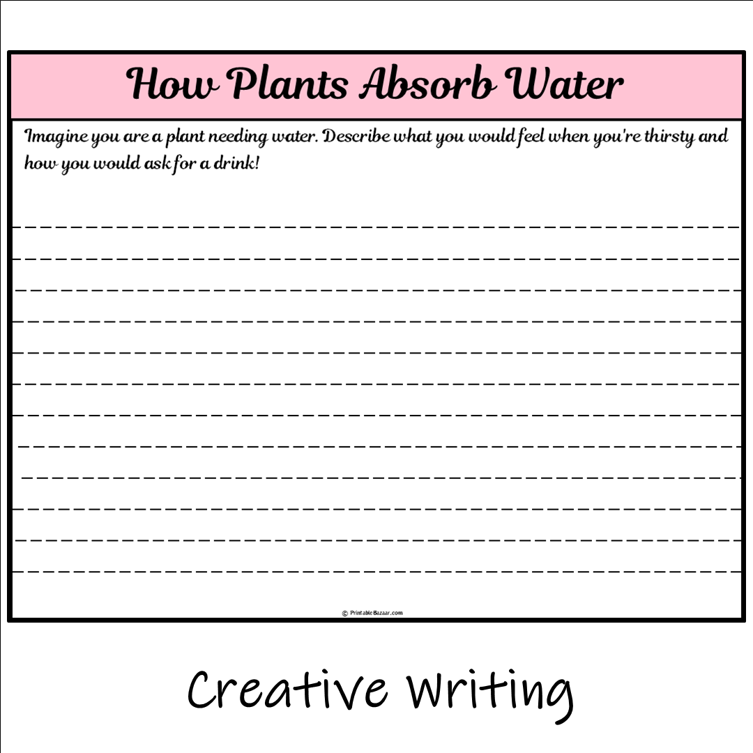 How Plants Absorb Water | Main Idea and Supporting Details Reading Passage and Questions