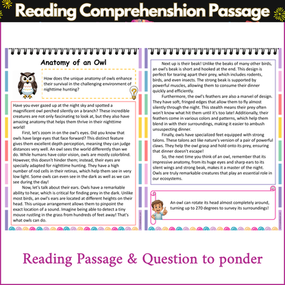 Anatomy of an Owl | Reading Comprehension Passage and Questions