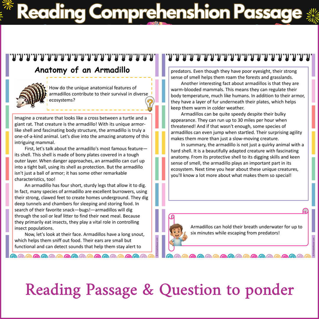 Anatomy of an Armadillo | Reading Comprehension Passage and Questions