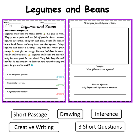 Legumes and Beans | Short Reading Comprehension Creative Worksheet