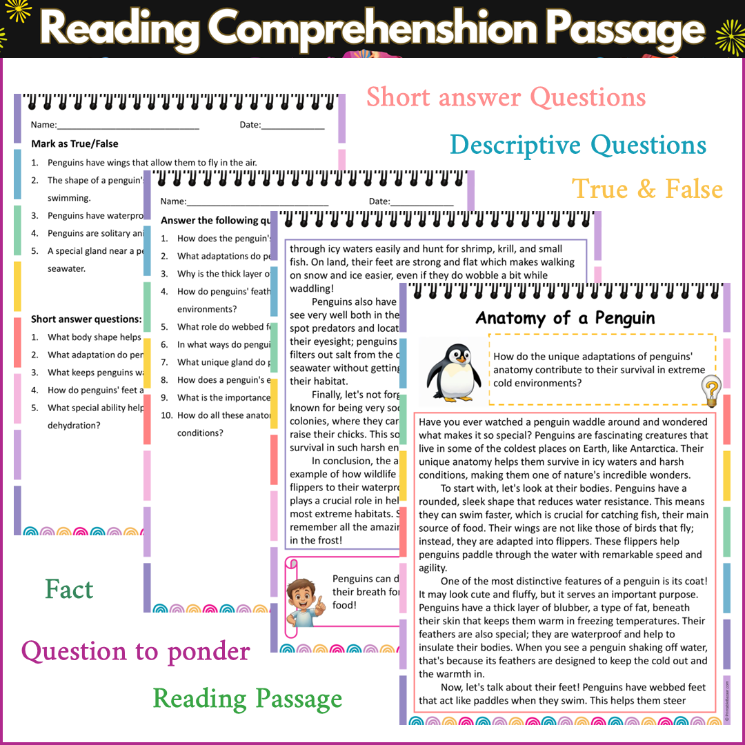 Anatomy of a Penguin | Reading Comprehension Passage and Questions